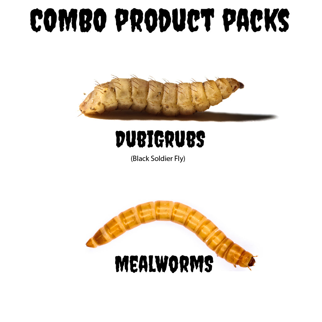 DubiGrubs & Mealworms - Combo Product Packs (Black Soldier Fly)