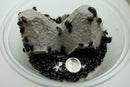 Buffalo Beetles