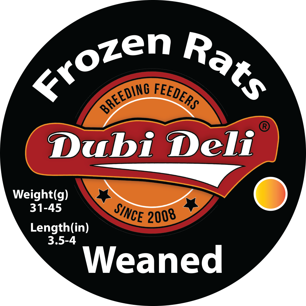 View of Frozen Rats (Multicolor): Weaned