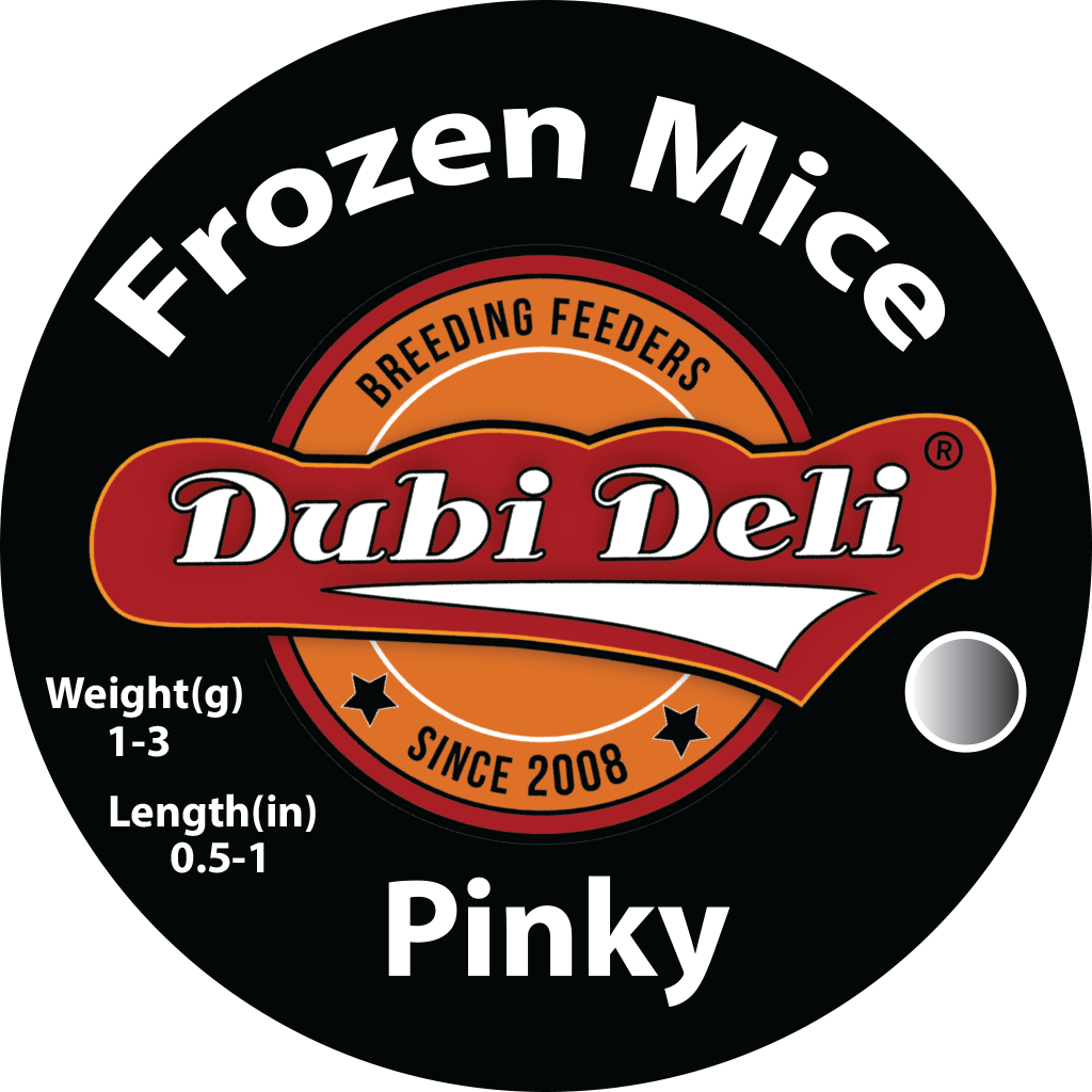 Frozen White Mice Pinky