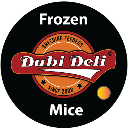 Frozen Mice for Sale - Multicolor