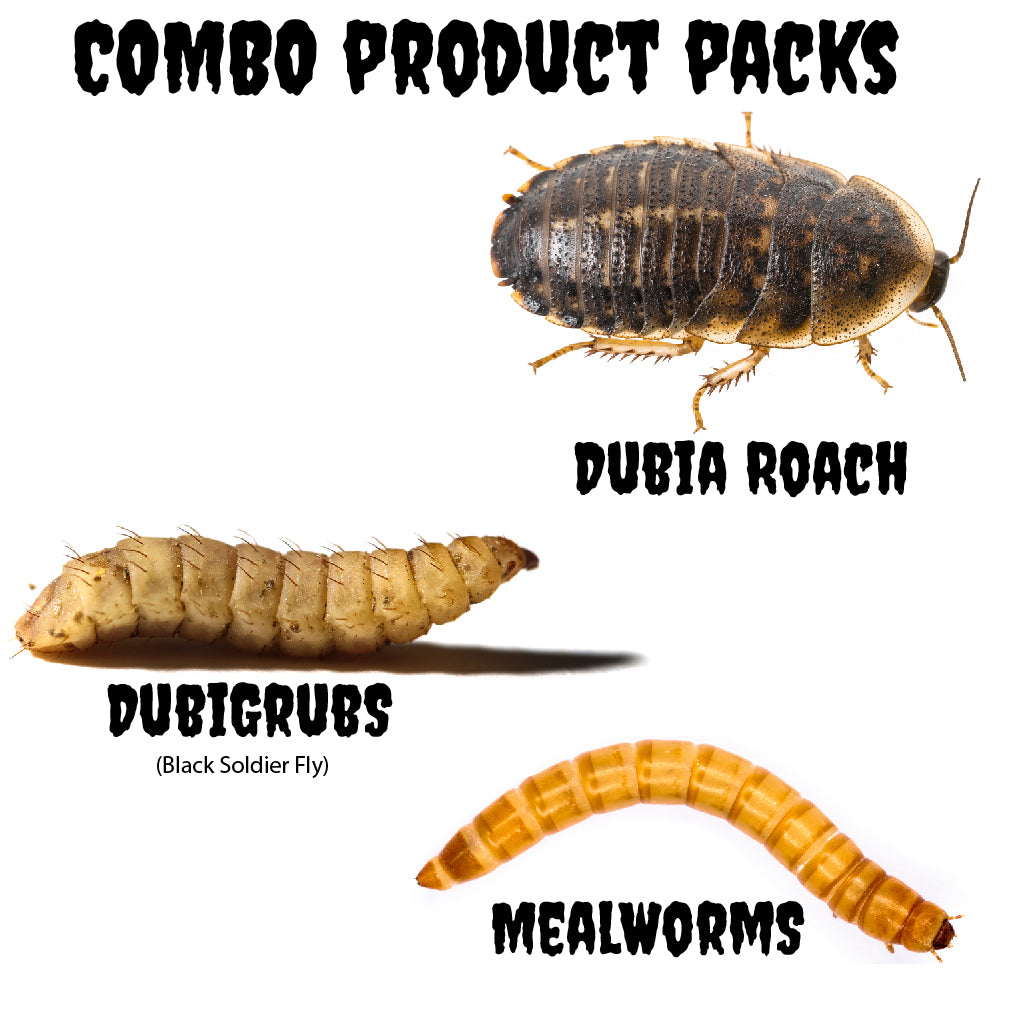 Dubia Roaches & DubiGrubs & Mealworms Product Packs)