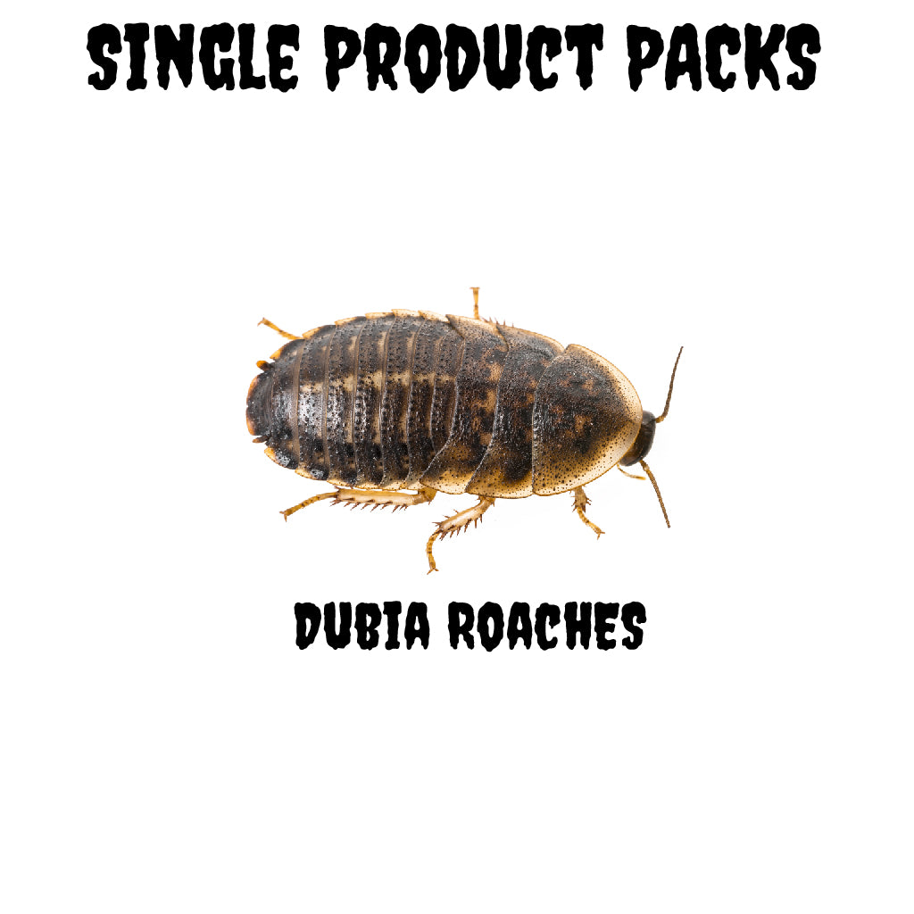 ProRep Frozen Dubia Roaches Blister Pack