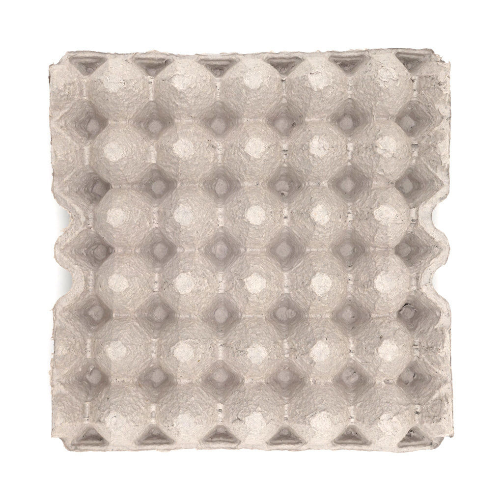 Egg flat bottom view