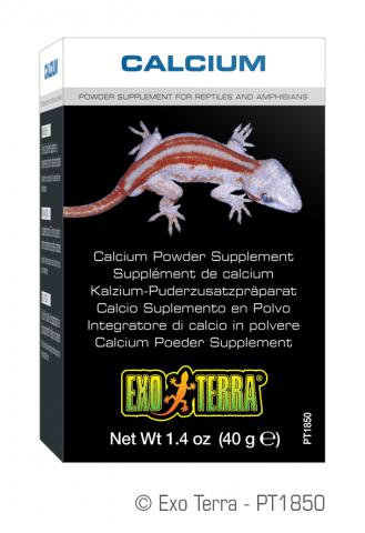 Exo Terra Calcium Powder (1.4 oz)