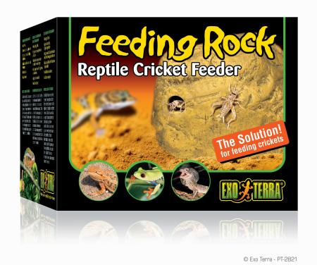 Exo Terra Cricket Feeding Rock Package