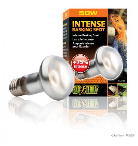 Exo Terra Intense Basking Spot (50 Watt)