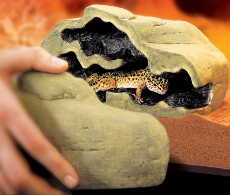Exo Terra Reptile Den (Small) With Leopard Gecko