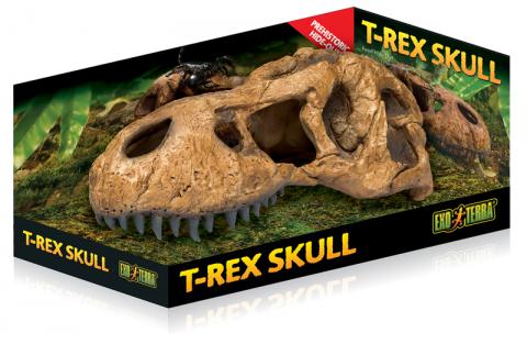 Exo Terra T-Rex Skull