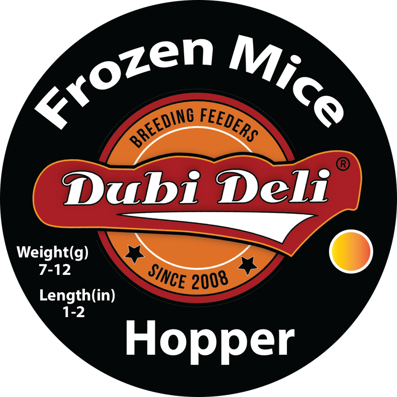 Frozen Multicolor Mice Hopper