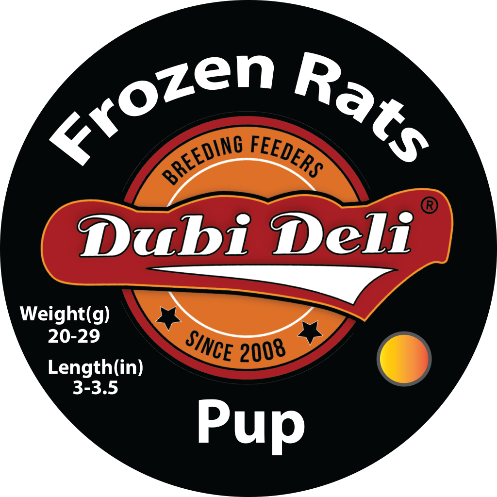 Frozen rats multicolor pup